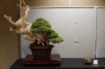 DSC00881.JPG