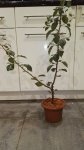 IMG_20171105_003932.jpg