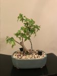 20170529_014732379_iOS.jpg