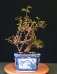 20171107_104549.jpg