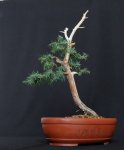 2017_1113_09385300.jpg