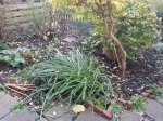 20171114_084252.jpg