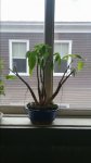 20171114_115923.jpg