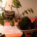 20171109_061331.jpg