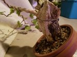 20171117_205542.jpg