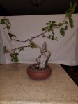 20171118_154143.jpg