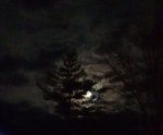 tonight moon.jpg