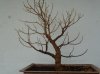 phpS6X17YAM.jpg phpS6X17YAM.jpg
