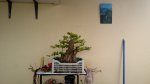 IMG_20171217_095551096.jpg