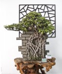 wall-bonsai.jpg