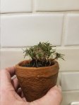 20171222_202839.jpg