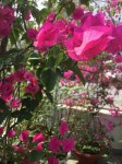 A57F8618-922F-4591-B4E1-4144BE15BE79.jpeg
