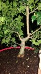 downloadfile-24.jpg