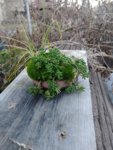 20180127_163736.jpg