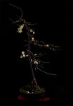 prunus mume omoi no mama.jpg