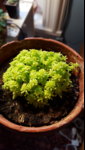 20180204_103741.jpg