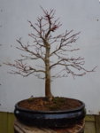 20180208_142810.jpg