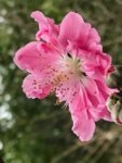 IMG_6033.jpg