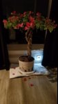 20180210_001427.jpg