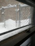 20180211_075128.jpg