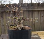 DSC06819-1.jpg