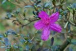DSC07674-1.jpg