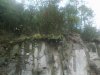 20120228288.jpg