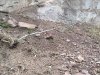 20120228293.jpg