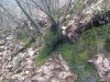 20120228282.jpg