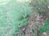 28538.jpg 28538.jpg