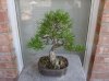 DSC01358.jpg