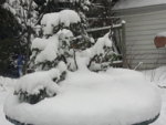 20180311_112104.jpg