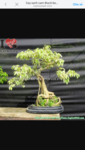 Screenshot_20180320-154131.png
