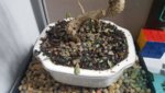 20180327_081441.jpg
