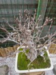 20180401_142849.jpg