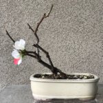 IMG_6822.jpg IMG_6822.jpg