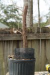 DSC07135-1.jpg