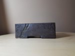 20180410_194520.jpg