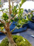 20180412_092607.jpg