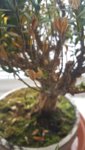 20180408_142953.jpg