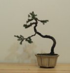 2BCC8572-3E76-4A30-85D3-9FE4846DA2B1.jpeg 2BCC8572-3E76-4A30-85D3-9FE4846DA2B1.jpeg