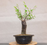 6973303060_b260628e49_b.jpg 6973303060_b260628e49_b.jpg