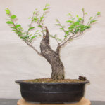 6973303426_ce6f8efec6_b.jpg 6973303426_ce6f8efec6_b.jpg