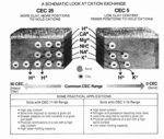 CEC visual schematic of soil structure.jpg