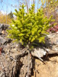 DSCN1659.JPG