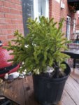 IMG_20180426_185614.jpg