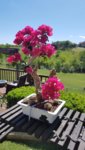 20170330_150724.jpg