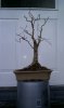 rps20120318_172934.jpg