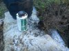 CalJuniper3.jpg CalJuniper3.jpg
