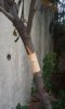 20120405_111836.jpg